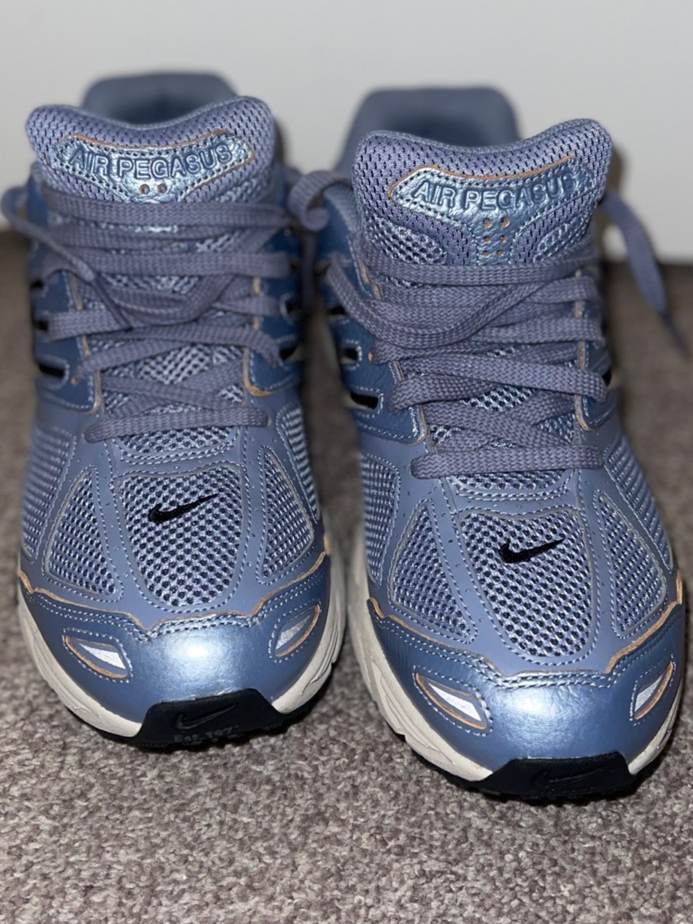 Nike Pegasus 2005 Sneakers
